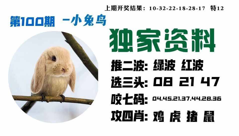 100期小兔鸟[图]